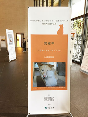 どーん