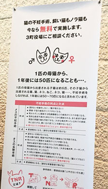 くわしくはどうぶつ基金まで!