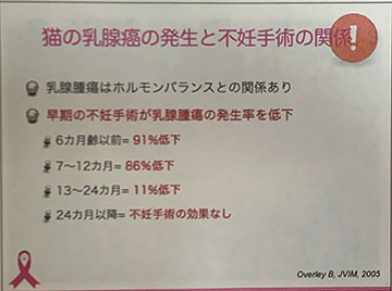 IMG_5838.jpeg