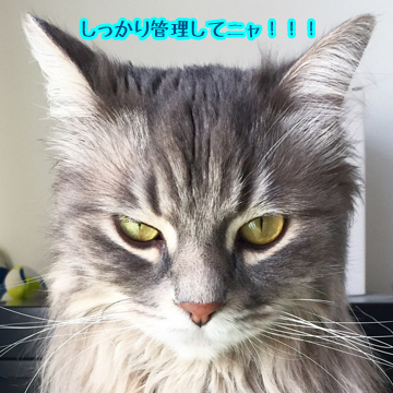 おこられたー!