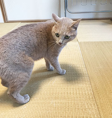 はじめまして