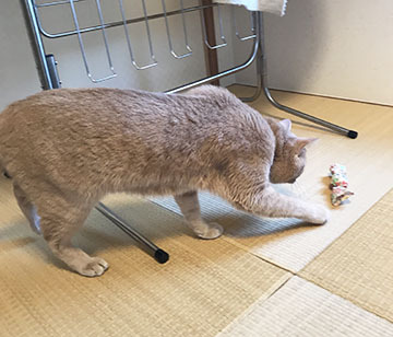 うれしい