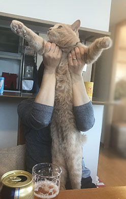 びよーーん