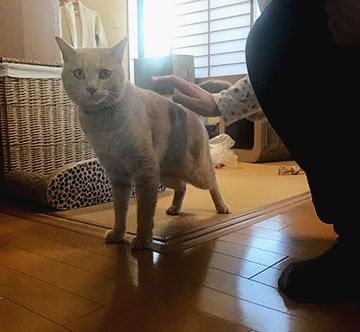 かわいいもんねー