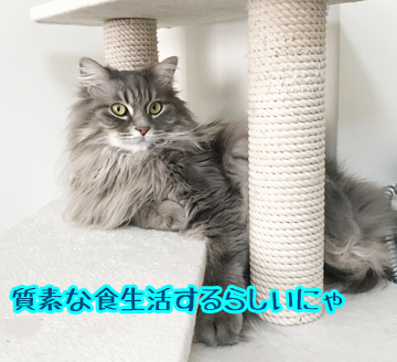ねw