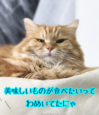 美味しそうなんだよー