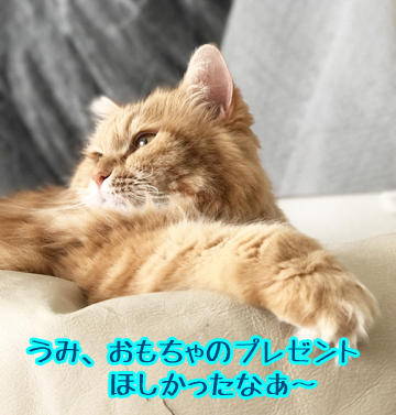 残念!