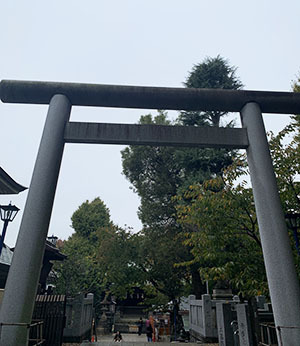 IMG_6290.jpeg
