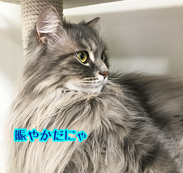 ごめんねw