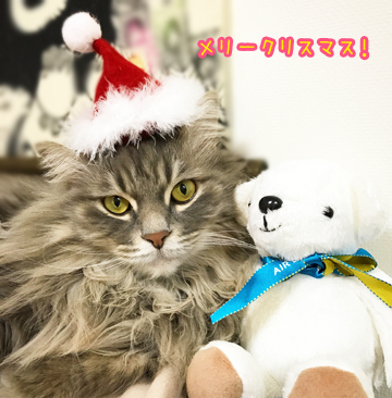 あおくん
