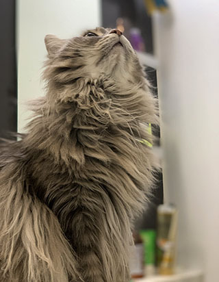 IMG_6801.jpeg