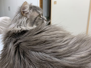 IMG_7419.jpeg