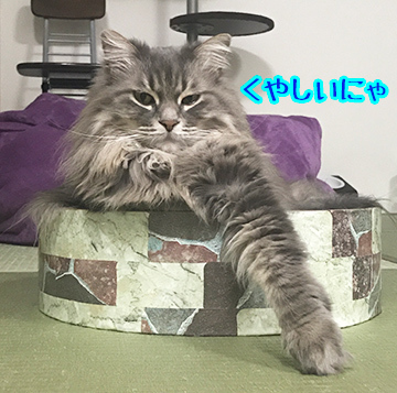 ざんねん