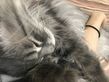 うふふ