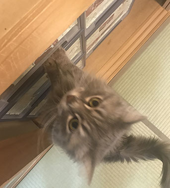 探検したいー