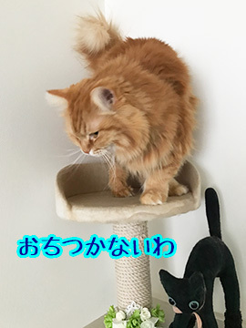 やっとおわったよ