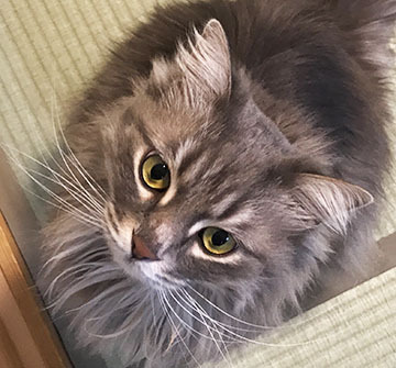 鼻の頭が〜〜〜