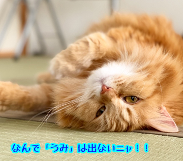 IMG_7942.JPG