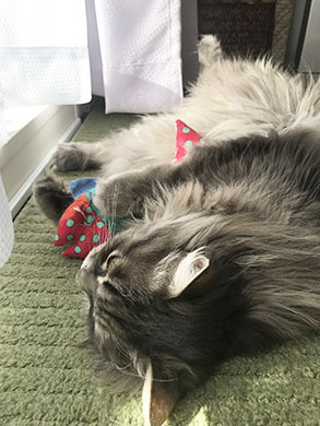 好きねぇ