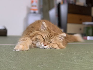 IMG_8058.jpeg