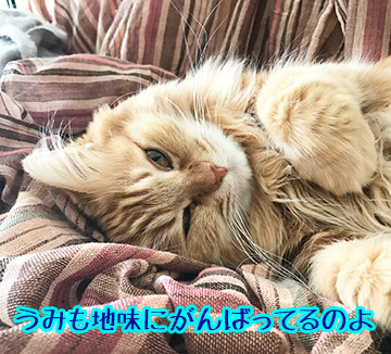 頑張ってるよね