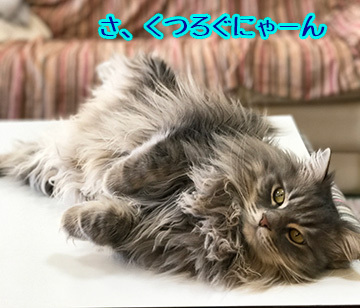 おつかれさま