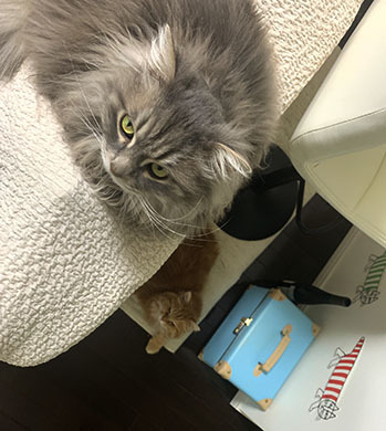 IMG_8212.jpeg