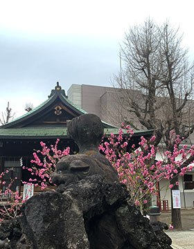 IMG_8528.jpeg