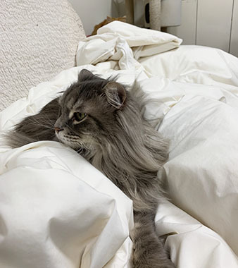 IMG_8638.jpeg