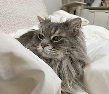 IMG_8639.jpeg