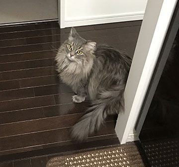 起きてるのー