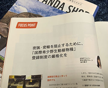 IMG_8661.jpeg