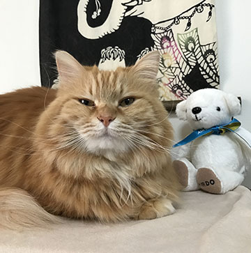 眠い
