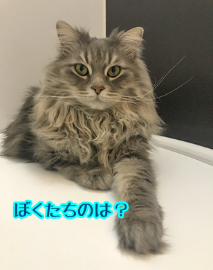 ん?