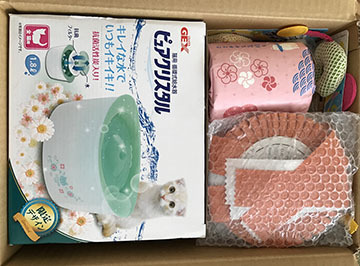 たのしい