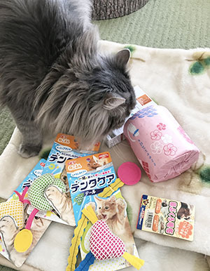 すごいね