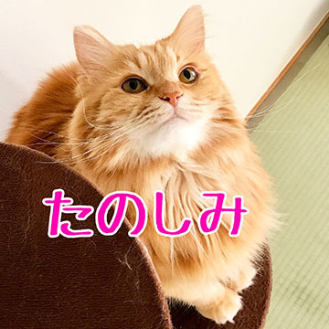 うみ