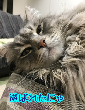 いいじゃんw