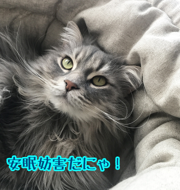 ごめんごめん