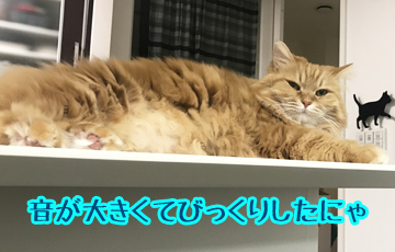 びっくり