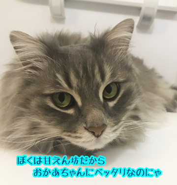 見つめてーーー
