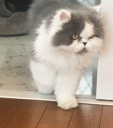 ありがとうね