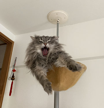 IMG_9667.jpeg