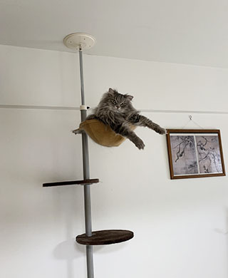 IMG_9668.jpeg