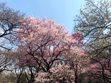 IMG_9999.jpg