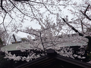 011.jpg