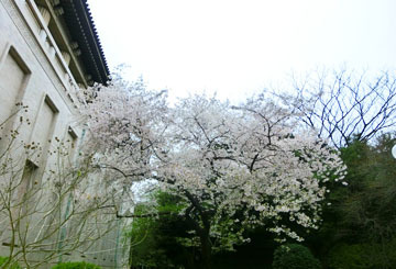 良い雰囲気なの