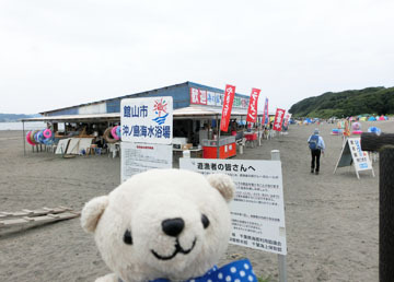コロルの夏休み