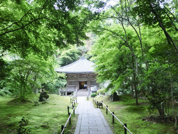 おおお