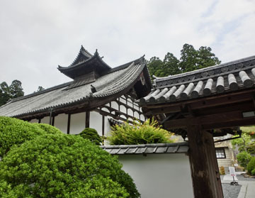 立派です
